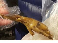 -鸡脚旮旯平江路店