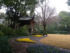 -汇龙潭