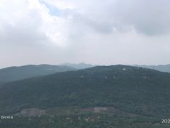 -铁山坪森林公园