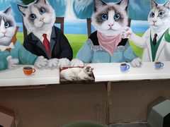 -喵喵咪呀布偶猫咖(春熙路店)