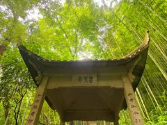 -严子陵钓台(富春江小三峡)