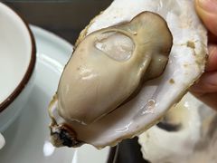 -老家黄墩小错鸡·活海鲜