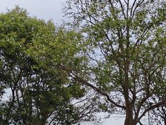 -黄河小浪底水利枢纽风景区