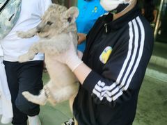 -西安秦岭野生动物园