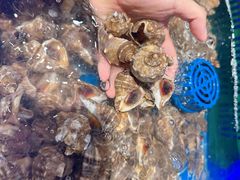 -锅儿欢海鲜火锅烤肉自助餐(东港凯虹店)