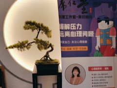 -席仁堂推拿按摩脊柱调理(世纪科贸大厦店)