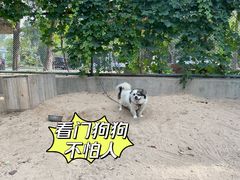 -秦皇岛野生动物园