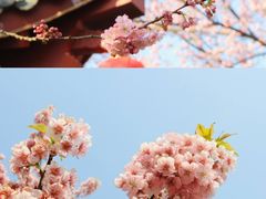 -东湖磨山景区