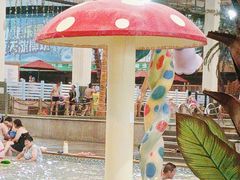 -南宫温泉水世界