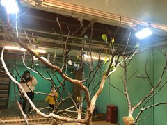 -上海大自然野生昆虫馆(东方明珠·爬宠昆虫探索中心)