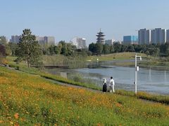 -洋湖国家湿地公园