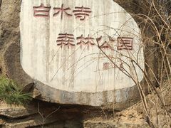-白水寺森林公园