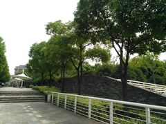 -新江湾城公园