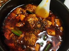 -陈麻婆豆腐总店