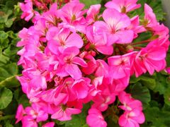 -泉乐坊步行街(烟酒特产平价超市店)