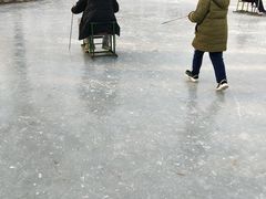 -丰台花园