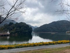 -广州市石门国家森林公园