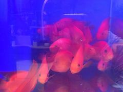 -大润发(花都店)