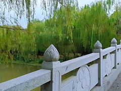 -自然谷恐龙园