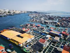 -蓝湾碧波·老字号·疍家非遗海上餐厅