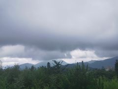 -江南天池