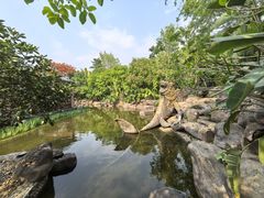 -西双版纳洲际度假酒店-曼霖轩中餐厅