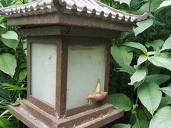 -珠海圆明新园