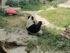 -南昌动物园