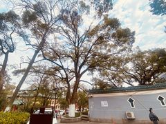 -岳麓山风景名胜区