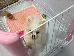 -乐宠宠物店(世纪金源店)