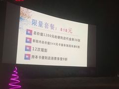 -枫花园汽车电影院(朝阳公园店)