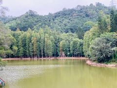 -滴水岩森林公园