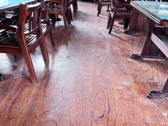 -沈阳森林动物园