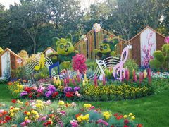 -上海共青森林公园