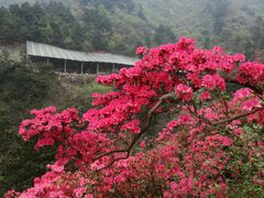 -木兰云雾山