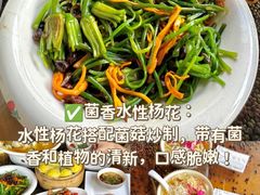 -尽善百年古院餐厅(王家老宅店)