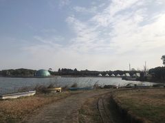 -上海都市菜园