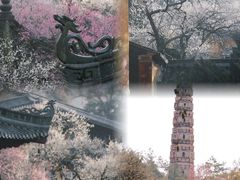 -天台山景区