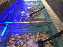 -汇丰海鲜(东亚·世纪城文脉苑店)