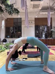 -花间禅净·瑜伽