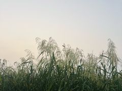 -滆湖低碳生态公园