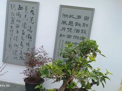 -杭州植物园