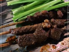 -新疆民族团结羊肉串(锦江区店)