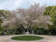 -阳澄湖费尔蒙酒店