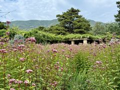 -国家植物园南园