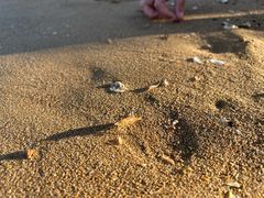 -兴城海滨风景区