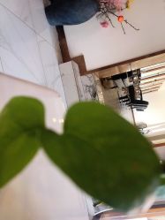 -私家美林护肤造型