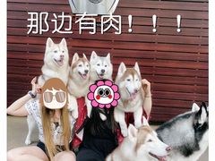 -TrueLove @ Neverland (Husky Cafe)