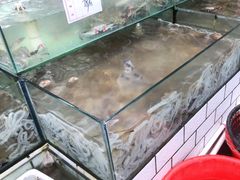 -海香园饭店