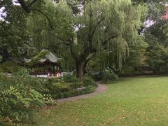-申粤轩酒楼·三十年粤菜经典(丁香花园店)
